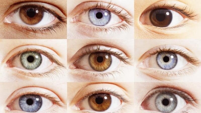 Dünya genelinde göz rengi dağılımı #1