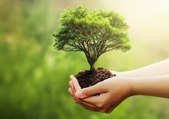 Gündelik hayatta çevreyi korumak için yapabileceğiniz 7 şey