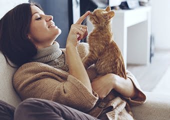 Kedilerle yaşam boyu birliktelik için düzenli sağlık kontrolü şart